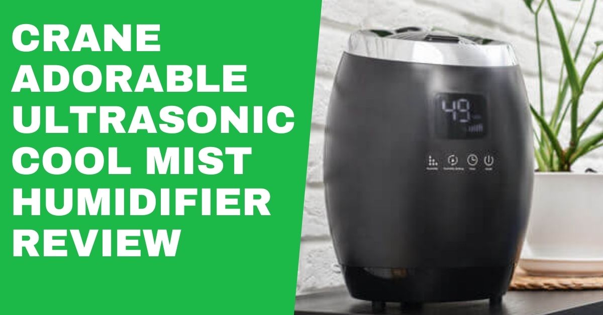 Ultrasonic cool mist Humidifier