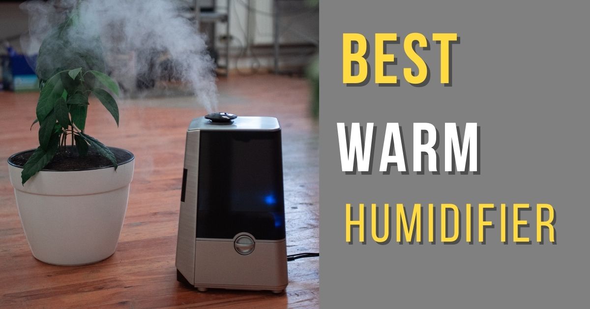 warm humidifier for baby