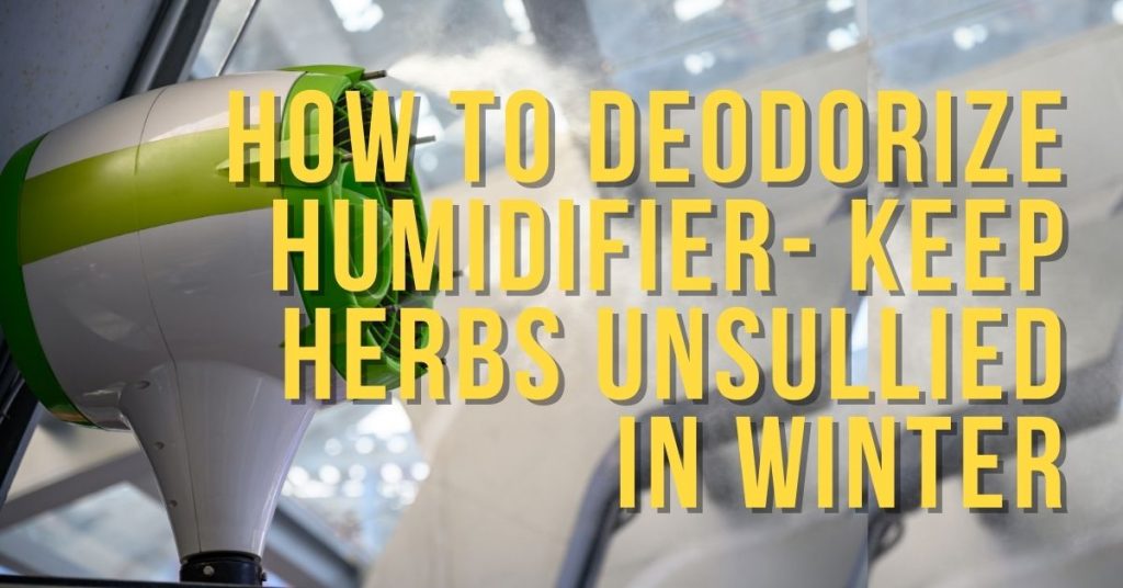 deodorize humidifier