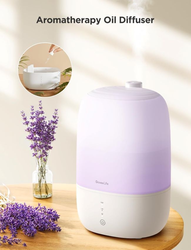 Bedroom Humidifier with Essential Oil Diffuser and Humidity Control